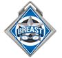 Hasty Award G-Force 3" Medal All-Star Breaststroke