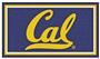 Fan Mats NCAA Univ of California Berkeley 3x5 Rug