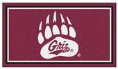 Fan Mats NCAA University of Montana 3x5 Rug