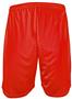 Adult 9" & Youth 6" Graded Inseams Lined Tricot Mesh Sports Shorts (No Pockets)