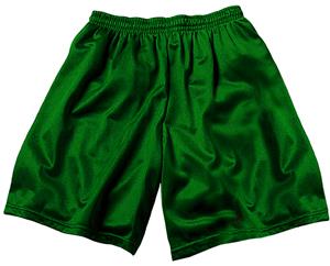 Adult & Youth Poly Micro Mesh Shorts - Closeout