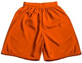 Mesh Shorts , Adult 7" Inseam  (A3XL - Royal))