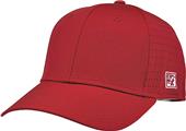 The Game Precurved Perforated GameChanger Cap gb904