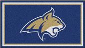 Fan Mats NCAA Montana State University 3x5 Rug