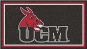 Fan Mats University of Central Missouri 3x5 Rug