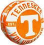 Northwest NCAA Tennessee Cloud Pillow
