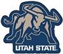 Fan Mats NCAA Utah State Mascot Mat