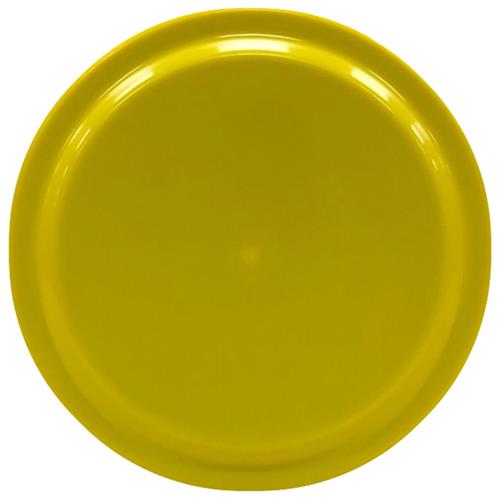 Epic Sports 9.25" Flying Disc Plastic Frisbee - Available in 4-Colors