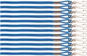 Heavy-Duty Nylon Lanyards (Pack of 12)