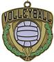 Epic 2.5" Sport Shield Gold Volleyball Award Medals