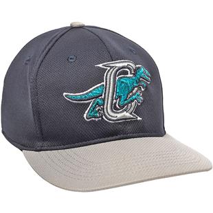 ogden raptors hat