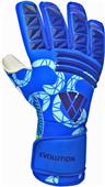 Vizari Evolution Soccer Goalie Gloves (PR)