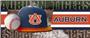 Fan Mats NCAA Auburn Baseball Runner