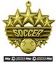 Epic 2 3/8" Arched Stars Soccer Award Medal & Ribbon