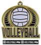 Epic 2" Journey Gold Volleyball Award Medal & Ribbon