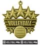 Epic 2 3/8" Arched Stars Volleyball Award Medal & Ribbon