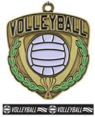 Epic 2.5" Shield Gold Volleyball Award Medal & Ribbon