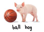 Epic Adult/Youth Basketball Hog Cotton Graphic T-Shirts