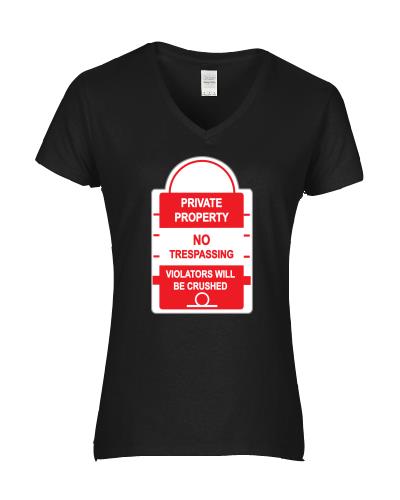 Epic Ladies Private Property V-Neck Graphic T-Shirts