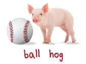 Epic Adult/Youth Baseball Hog Cotton Graphic T-Shirts