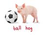 Epic Soccer Ball Hog Long Sleeve Cotton Graphic T-Shirts