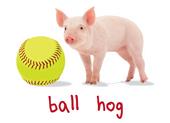Epic Ladies Softball Hog V-Neck Graphic T-Shirts