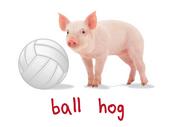 Epic Ladies Volleyball Hog V-Neck Graphic T-Shirts