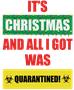 Epic Adult/Youth Xmas Quarantined Cotton Graphic T-Shirts