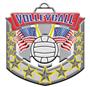 Epic 2.6" Patriotic Flags Antique Volleyball Award Medals
