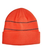 Big Accessories Reflective Beanie BA535