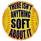 Epic Ladies Softball V-Neck Graphic T-Shirts