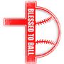 Epic Adult/Youth Blessed to Ball Cotton Graphic T-Shirts