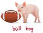 Epic Adult/Youth Football Hog Cotton Graphic T-Shirts