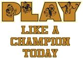 Epic Adult/Youth Play Like a Champ Cotton Graphic T-Shirts