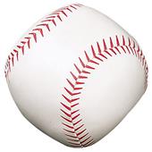 Champion Sports Soft Sport Baseball 3"D BS5