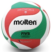 Molten FIVB Approved Volleyballs (V5M5000)