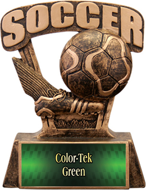 Hasty Awards ProSport 6" Soccer Resin Trophies. Personalization is available on this item.