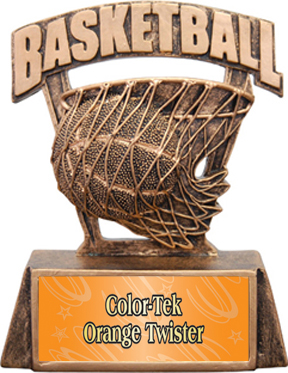 Hasty Awards ProSport 6" Basketball Resin Trophies. Personalization is available on this item.