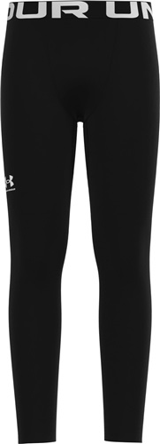 Under Armour Boys' ColdGear Armour Leggings 1366374