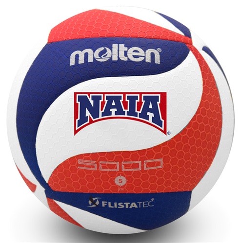 Molten NAIA FLISTATEC Indoor Volleyballs (V5M5000-3NAIA) - Volleyball ...