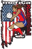 Epic Adult/Youth 'Merica Volleyball Cotton Graphic T-Shirts