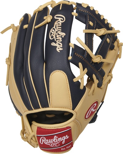 Rawlings Gold Glove 12