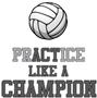 Epic Adult/Youth Volleyball Champ Cotton Graphic T-Shirts