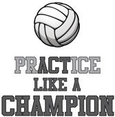 Epic Ladies Volleyball Champ V-Neck Graphic T-Shirts