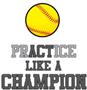 Epic Ladies Softball Champion V-Neck Graphic T-Shirts