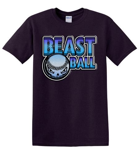 Epic Adult/Youth Beast Ball Cotton Graphic T-Shirts