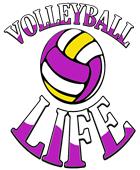 Epic Adult/Youth Volleyball Life Cotton Graphic T-Shirts