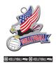 Epic 2.7" Patriotic Eagle Antique Volleyball Award Medal & Ribbon