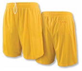 Adult Tricot Mesh 9" Inseam Lined Coaches Shorts With Pockets