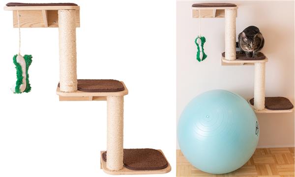 adjustable raised feeding bowls for dogs Elevated Dog Bowl Stand - Adjustable Double Feeder for All Breeds